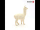 Llama