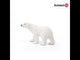 Polar bear PLAN