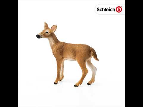White Tailed Doe (Plan)