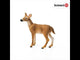White Tailed Doe (Plan)
