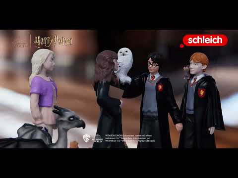 Schleich HP: Dumbledore and Fawkes