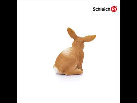 Rabbit (PLAN)
