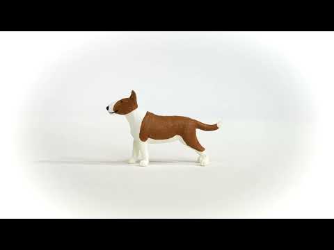 Bull Terrier (PLAN)