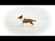 Bull Terrier (PLAN)