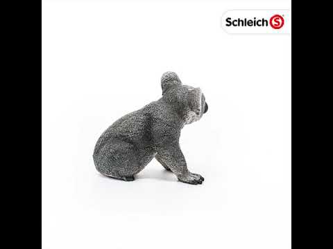 Koala bear (PLAN)