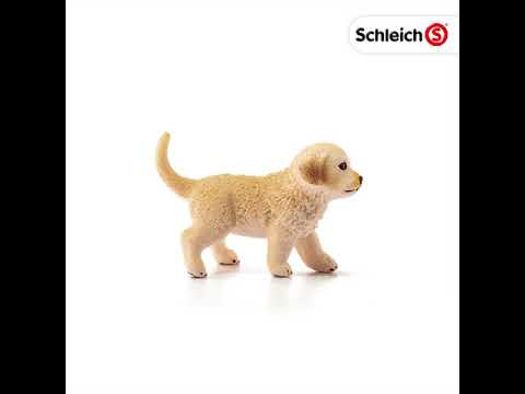 Golden Retriever Puppy (plan)