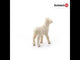 Lamb (Plan)