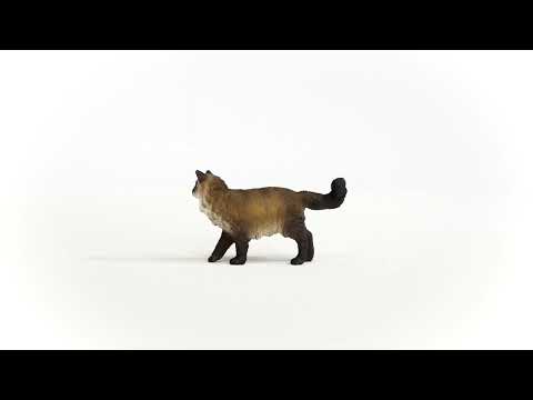 Ragdoll Cat NEW JAN