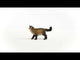 Ragdoll Cat NEW JAN