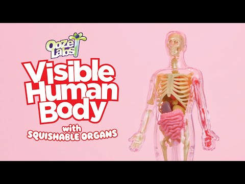 Ooze Labs The Human Body