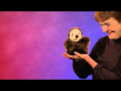 Baby Sea Otter Puppet