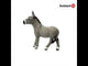 Donkey (plan)