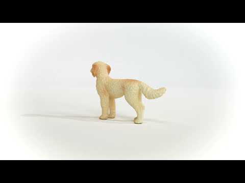 Goldendoodle NEW JAN