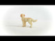 Goldendoodle NEW JAN