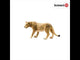 Lioness (Plan)