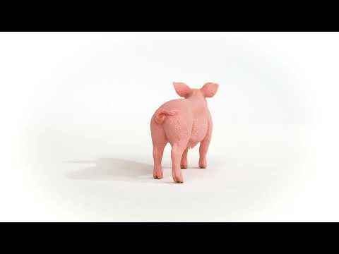 Pig (PLAN)