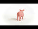 Pig (PLAN)
