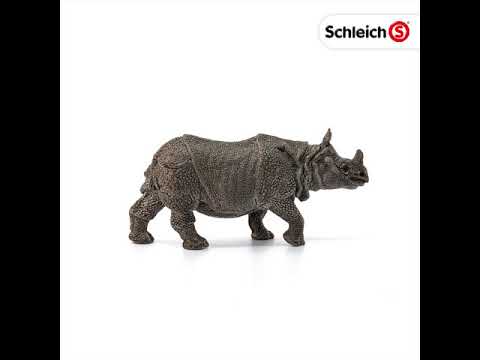 Indian Rhinoceros (PLAN)