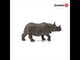 Indian Rhinoceros (PLAN)