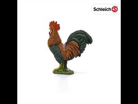 Rooster (PLAN)