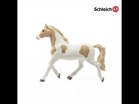Paint Horse Mare Plan