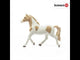 Paint Horse Mare Plan