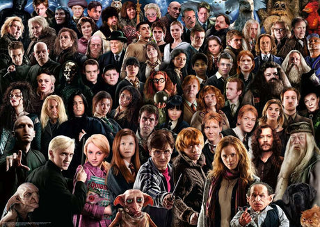 Harry Potter - Challenge (1000 Piece Puzzle)