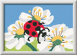 CreArt: Ladybug in Nature 5x7