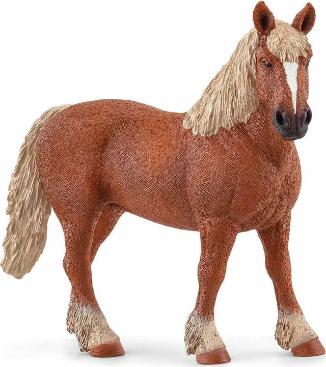 Belgian Draft Horse