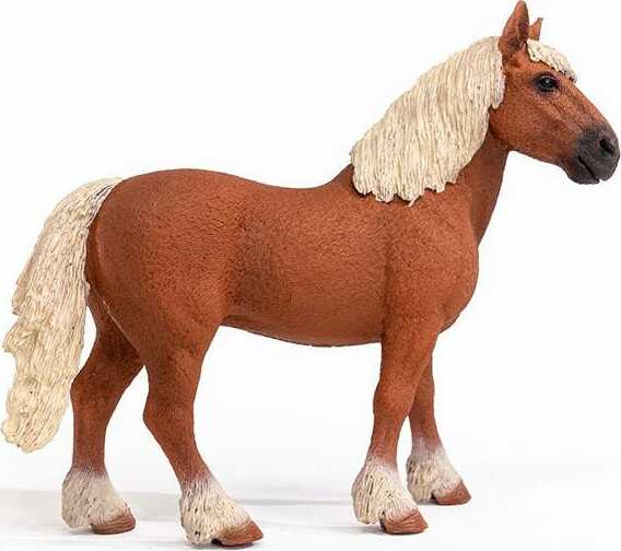Belgian Draft Horse