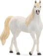 Horse Club Arabian Mare