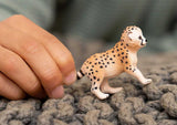 Cheetah Baby