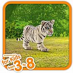 Tiger cub, white (plan)