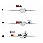 GraviTrax: Magnetic Cannon