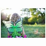 Fairy Blooms Dlx Dress Green/Wings, 5-6 (NA)