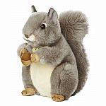 Miyoni - M Grey Squirrel