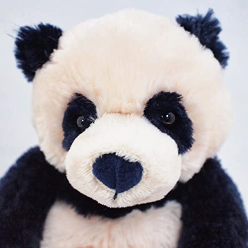 zi bo panda