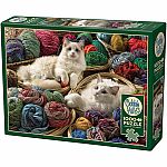 1000pc CH Ragdolls