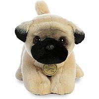 Myoni Tots-Pug Pup