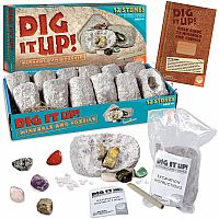 Dig It Up! Minerals and Fossils