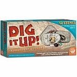 Dig It Up! Minerals and Fossils