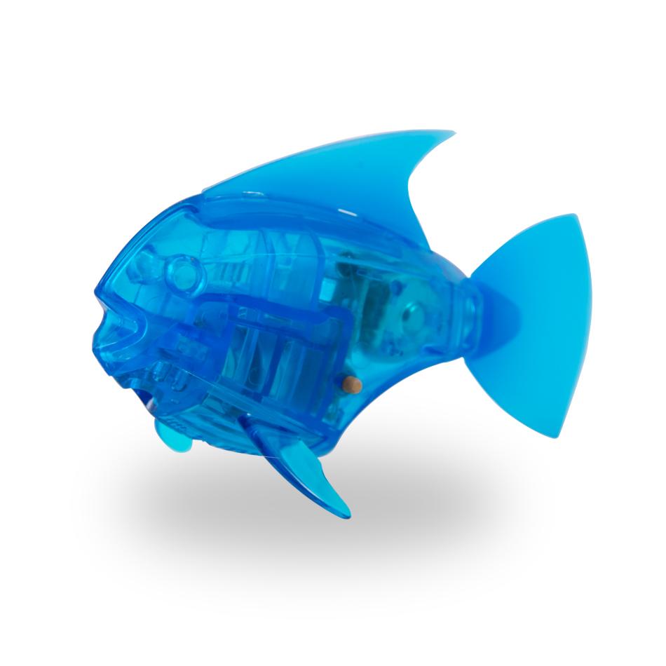 Hexbug 2024 fish tank