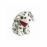 Smudge Dalmation