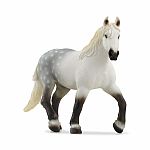 Percheron Mare