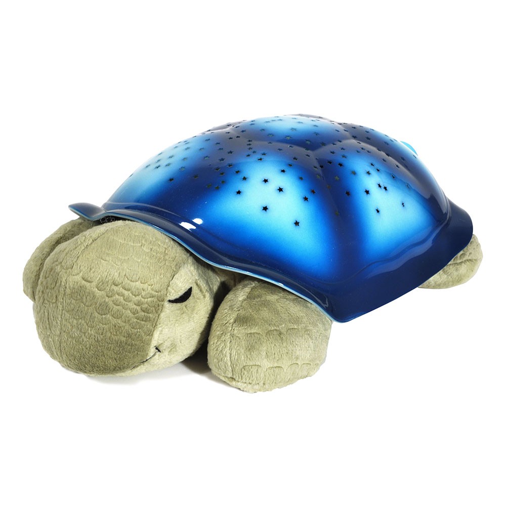 twilight turtle